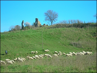 Anteprima - Clicca per ingrandire