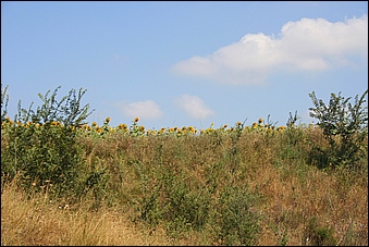 Anteprima - Clicca per ingrandire