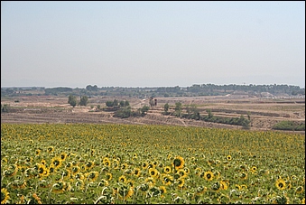 Anteprima - Clicca per ingrandire