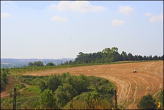 Anteprima - Clicca per ingrandire