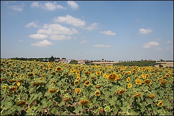 Anteprima - Clicca per ingrandire