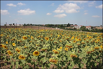 Anteprima - Clicca per ingrandire