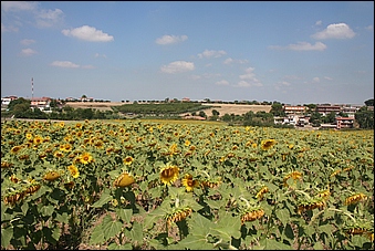 Anteprima - Clicca per ingrandire