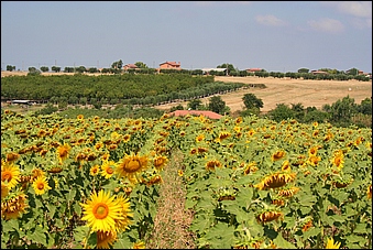 Anteprima - Clicca per ingrandire