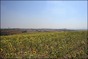 Anteprima - Clicca per ingrandire