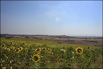 Anteprima - Clicca per ingrandire