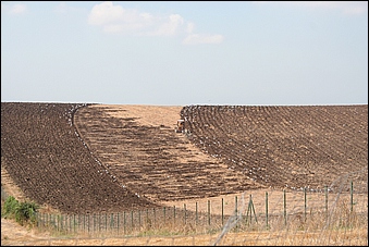 Anteprima - Clicca per ingrandire