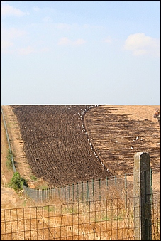 Anteprima - Clicca per ingrandire