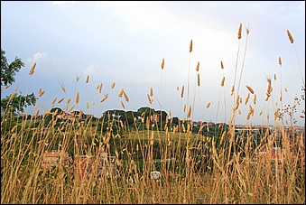 Anteprima - Clicca per ingrandire