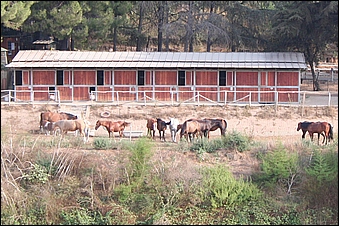 Anteprima - Clicca per ingrandire