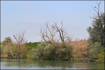 Anteprima - Clicca per ingrandire