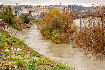 Anteprima - Clicca per ingrandire