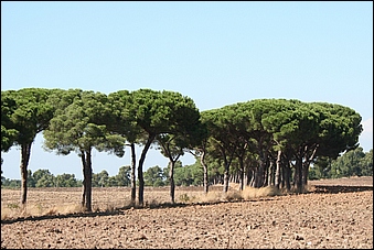 Anteprima - Clicca per ingrandire