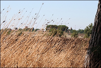 Anteprima - Clicca per ingrandire