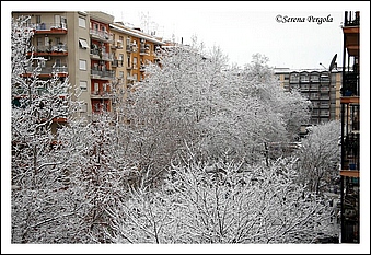 Anteprima - Clicca per ingrandire