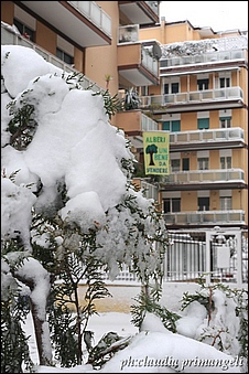 Anteprima - Clicca per ingrandire